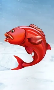 Ice Fishing