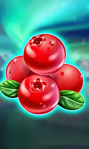 Winterberries